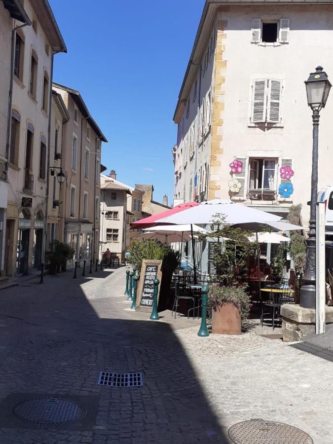 Apartamento Trévoux: loft ravissant avec terrasse Exterior foto