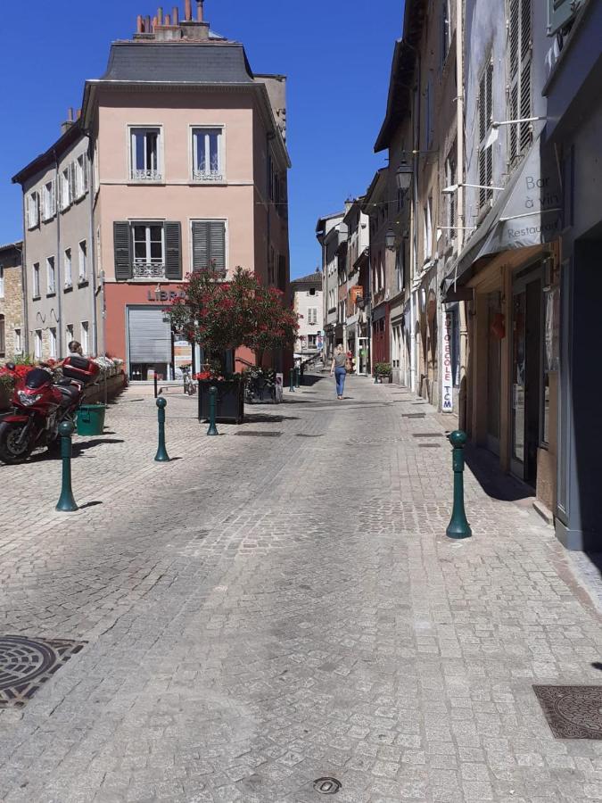 Apartamento Trévoux: loft ravissant avec terrasse Exterior foto
